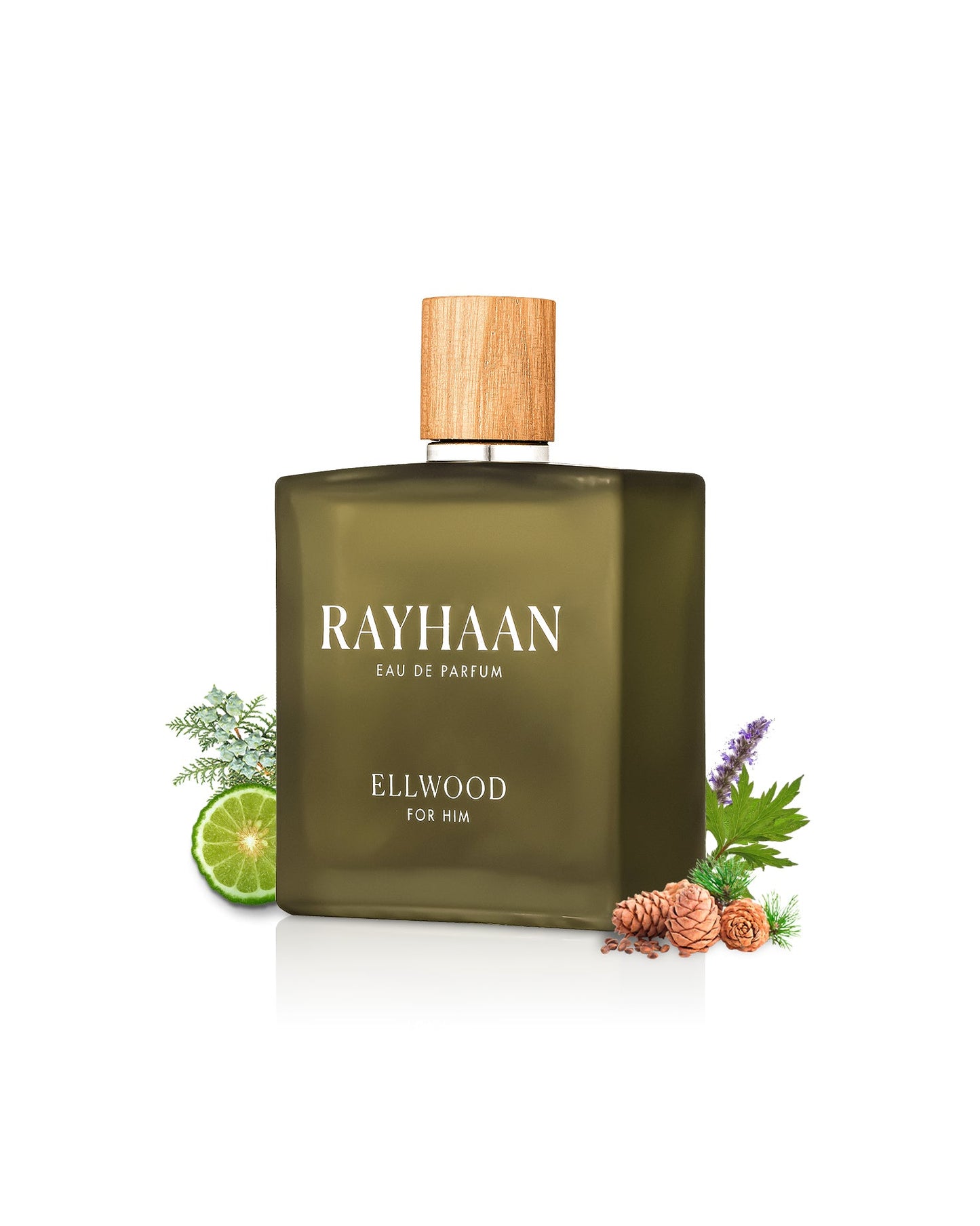 Rayhaan - ELLWOOD - 100ml image 1 Inspired by Terre d'Hermès Hermès