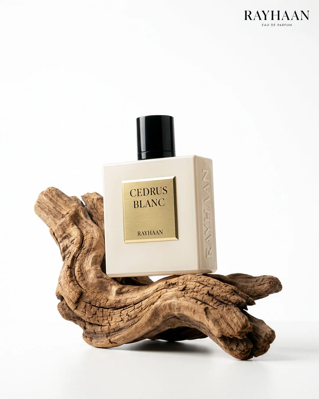 Cedrus Blanc by Rayhaan – EDP 100ml