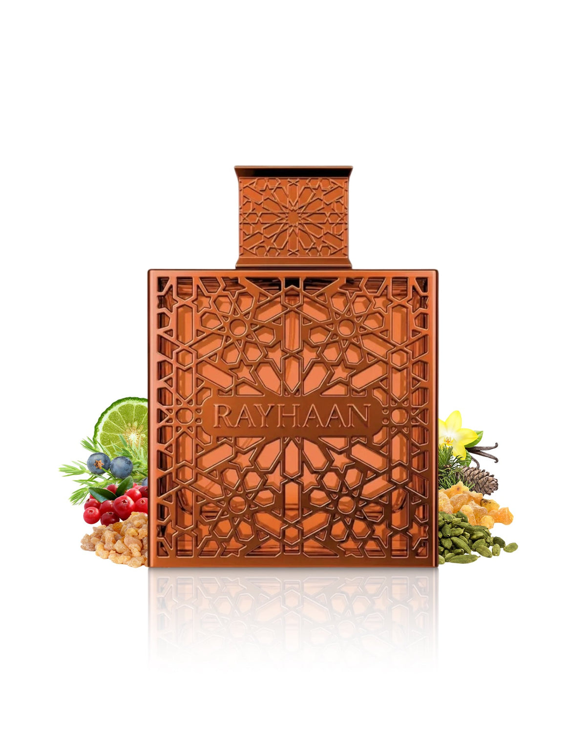 VANTAGE by Rayhaan – EDP 100ml