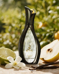 KOHL OPULENCE Edp by ARABIYAT PRESTIGE fragrance image 4 Dubai Aroma South Africa